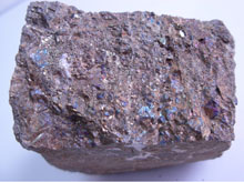 �~�Vʯ�ӹ��O��